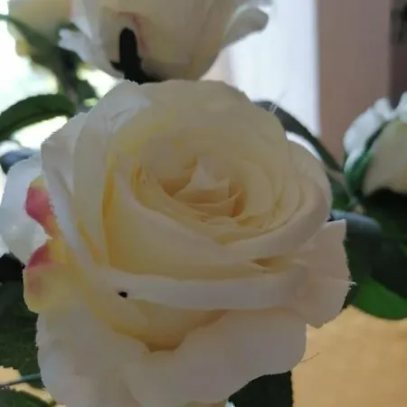 公寓 Vedrana Ražanj