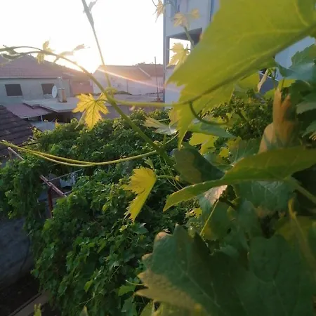 Apartamento Vedrana *