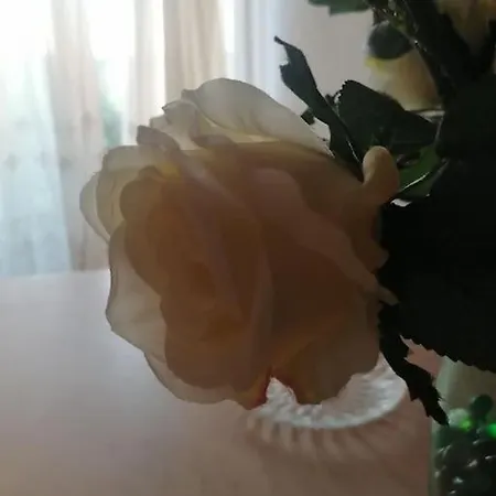 Vedrana Apartamento Ražanj