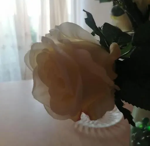 Vedrana Daire Ražanj